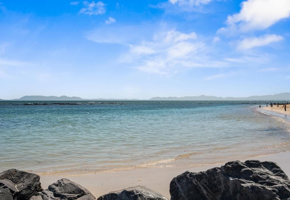 Waves and Wildflowers