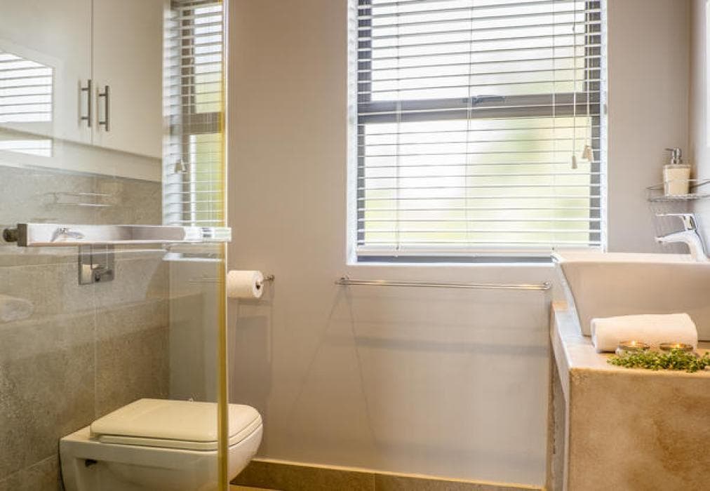 7 Shores  Shelley Point