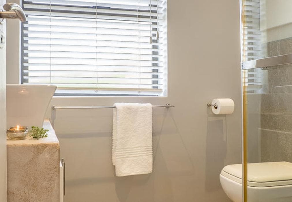 7 Shores  Shelley Point