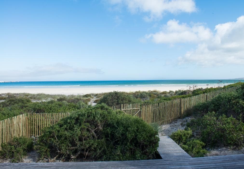 Driftwood Paternoster