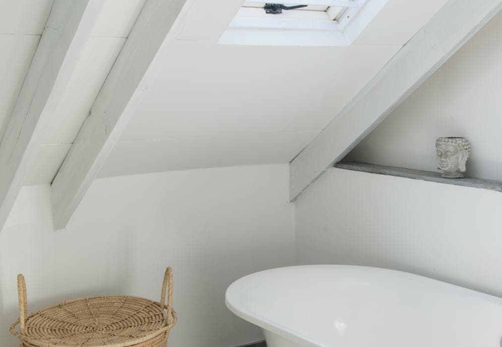 Driftwood Paternoster