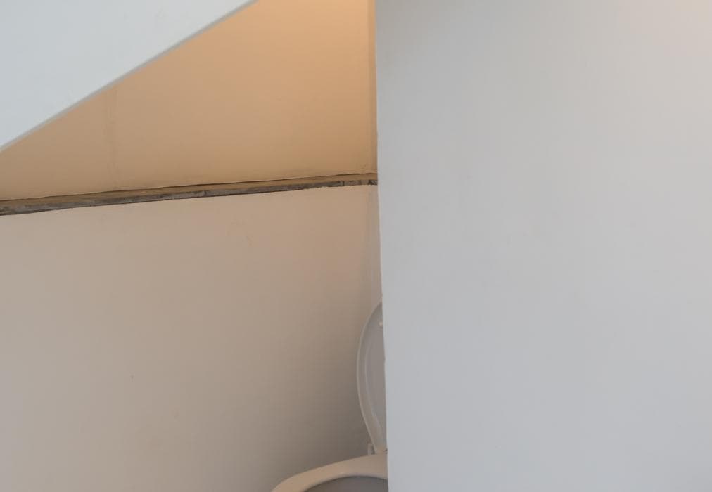 Driftwood Paternoster