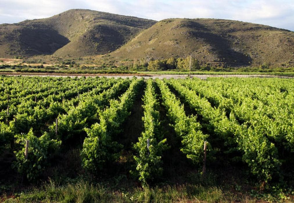 Tanagra Wine & Guest Farm