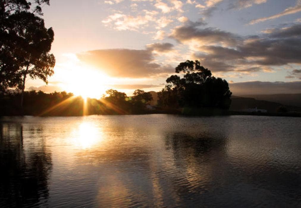 Tanagra Wine & Guest Farm