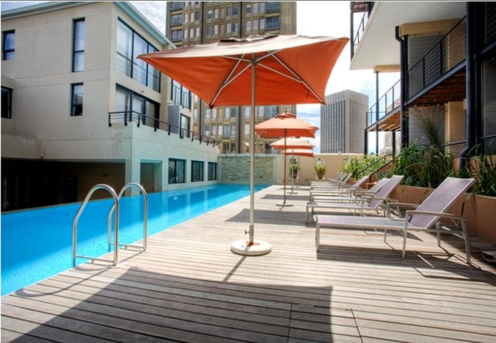 AFB Quiver Tree Loft