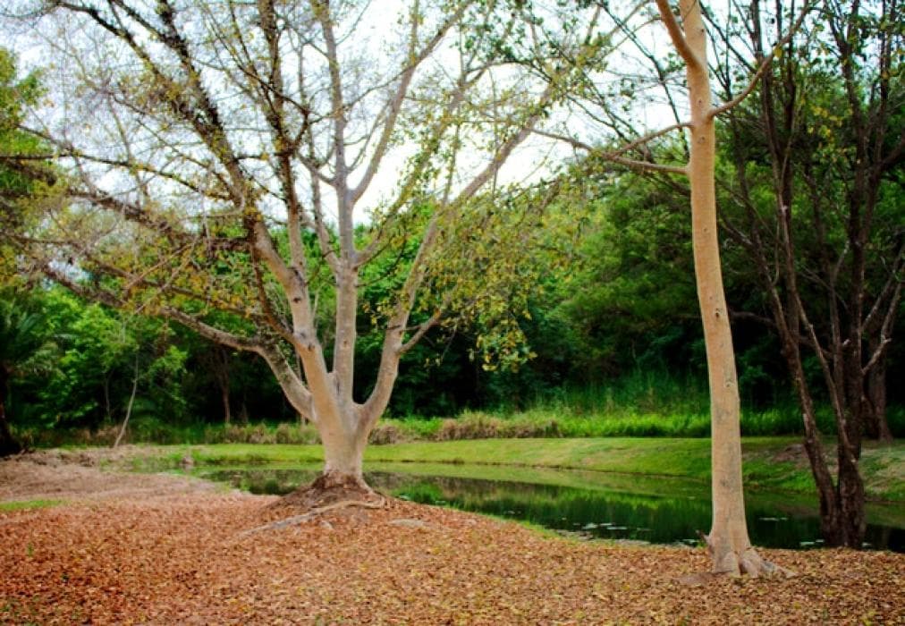 Kruger Park Lodge Unit No. 612