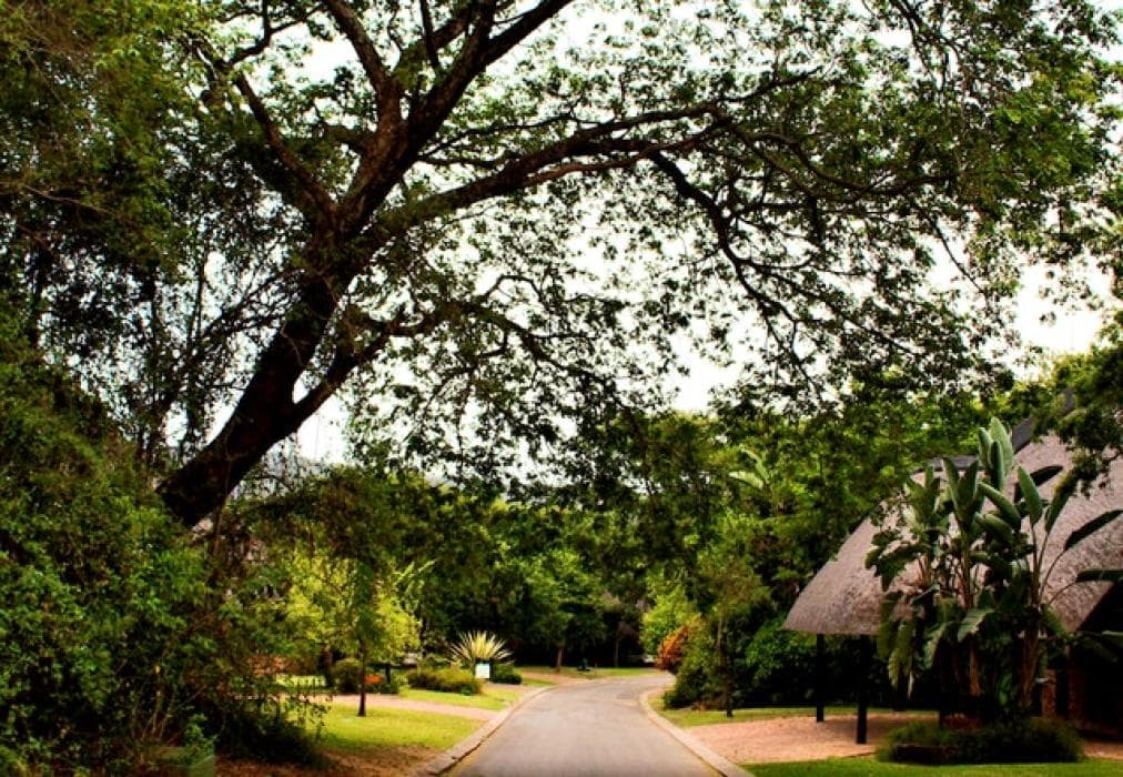 Kruger Park Lodge Unit No. 612