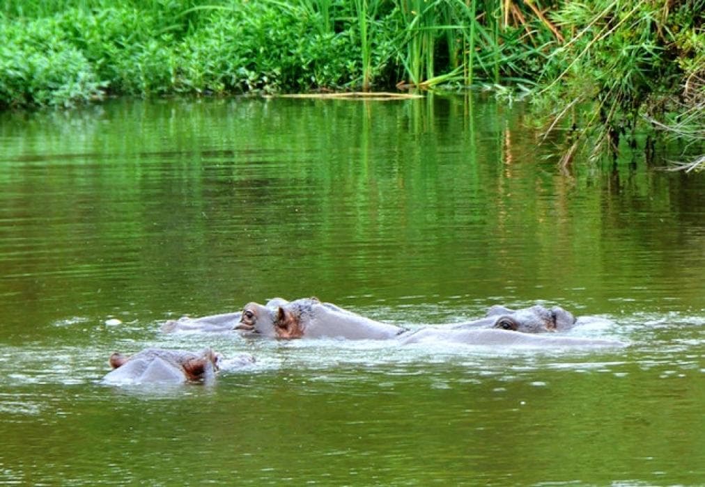 Kruger Park Lodge Unit No. 612