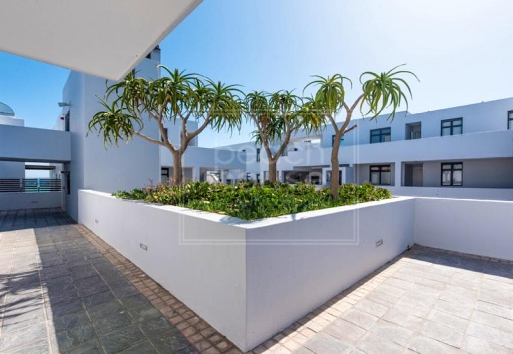 Eden on the Bay Penthouse 217