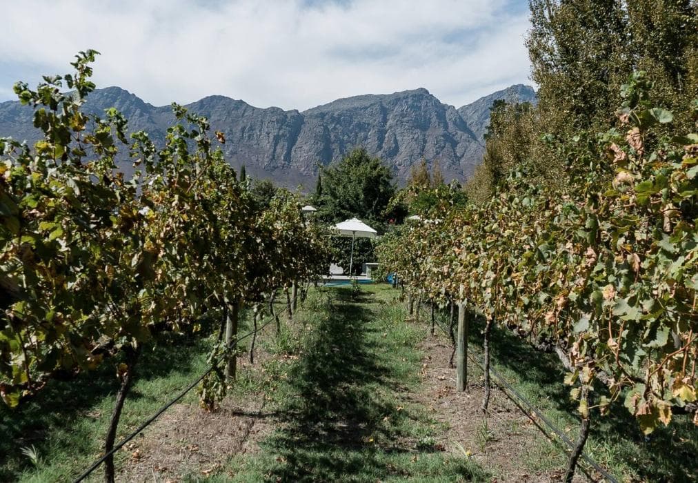 Rooftop Terrace Suite - Sandstone