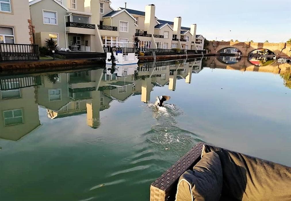 Jamaican Palms 21 Marina Martinique