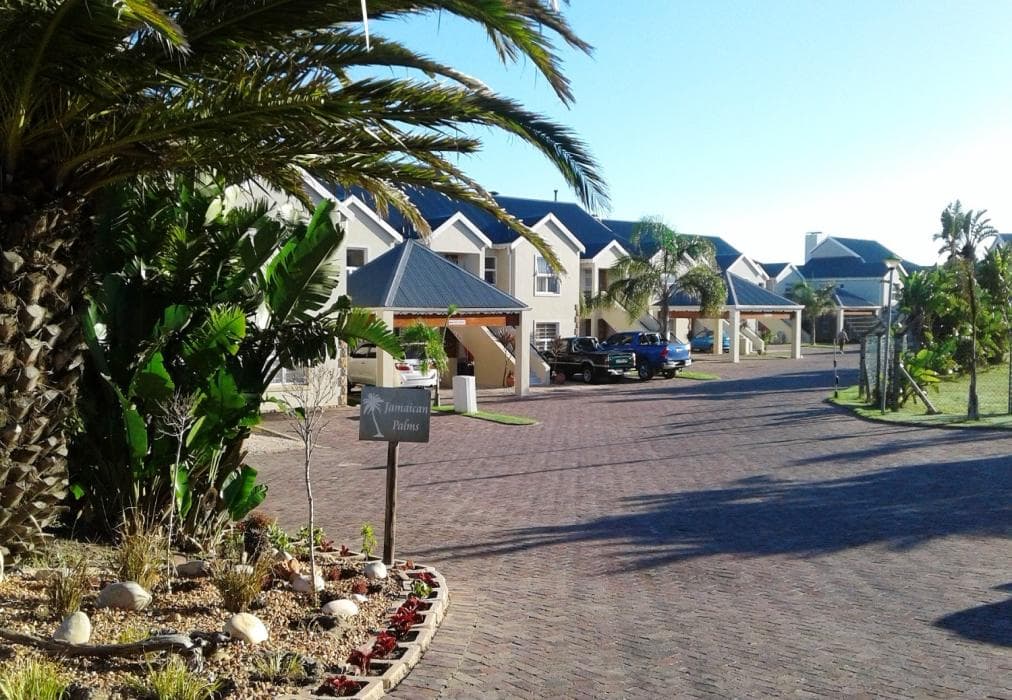 Jamaican Palms 23 Marina Martinique