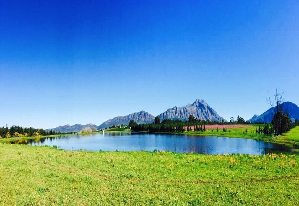 L'Bloom Country House