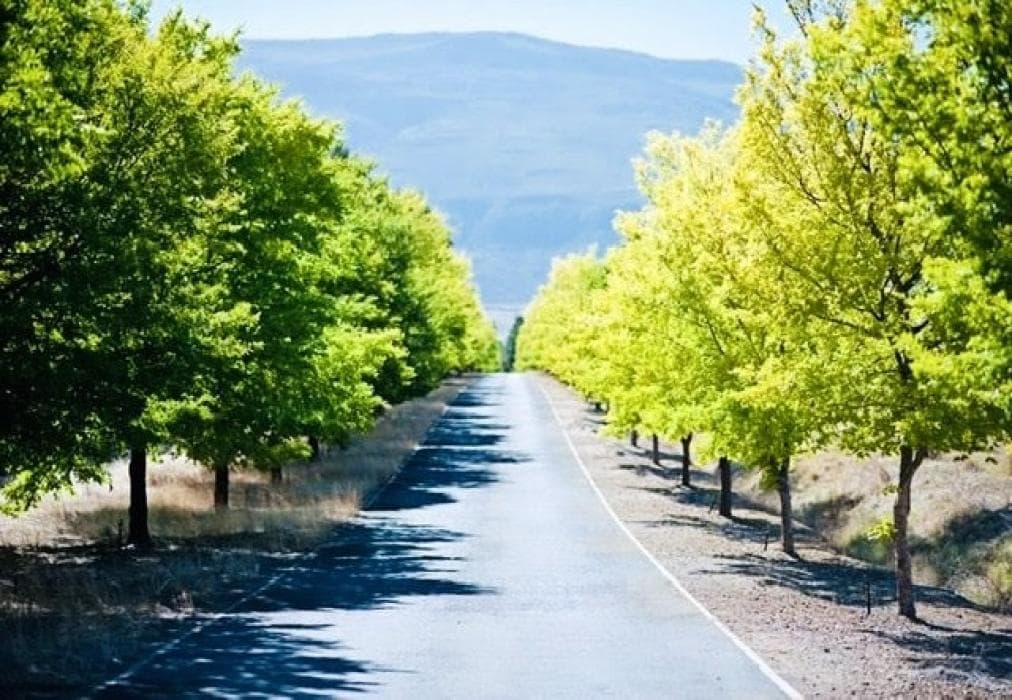 L'Bloom Country House