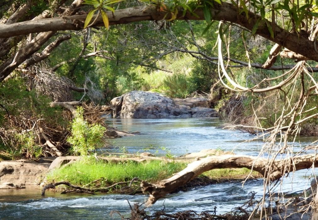 Blyde River Log House
