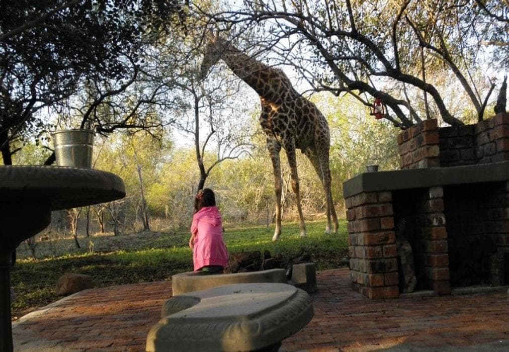 Doringpoort: Lemoentjiedoring 1621 Self-catering