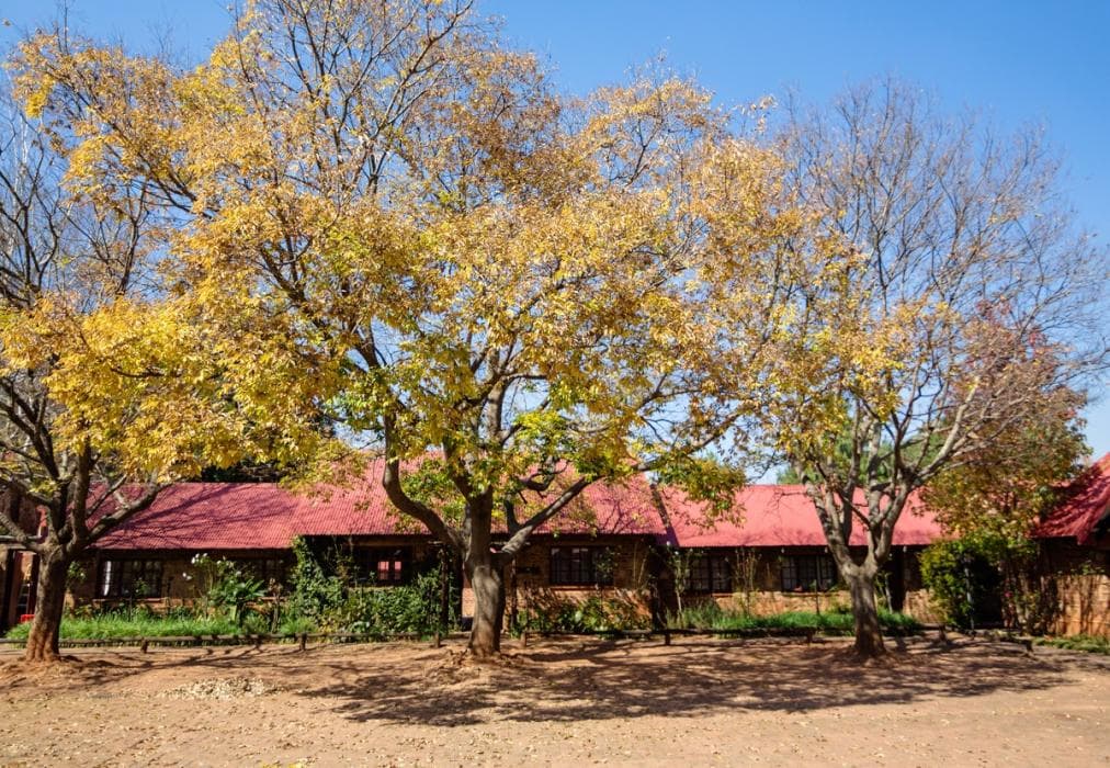 Critchley Hackle Lakeside 12