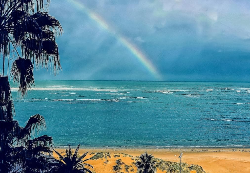 Ashley on Beach Family Apartment 408