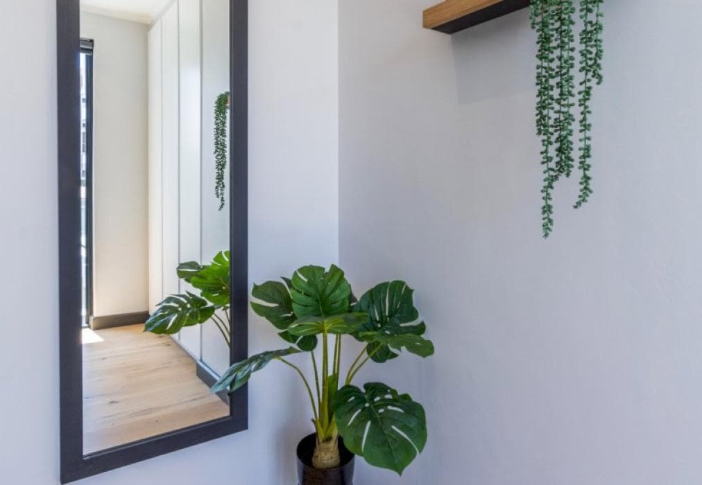 Modern Green Point Apartment 1