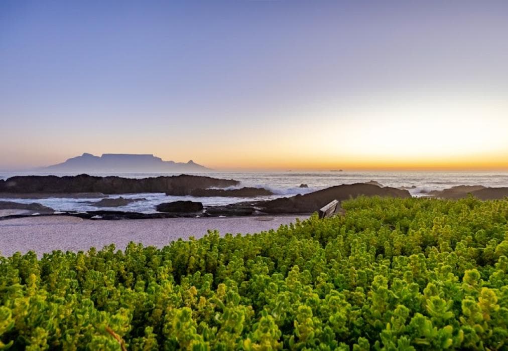 HOMELYNN Bloubergstrand